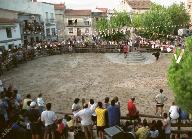 En la imagen, campeonato de anillas y recortes a vaquillas, celebrado en la...