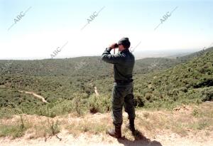 vigilancia por parte del Seprona de la caza Furtiva en la Sierra Madrileña