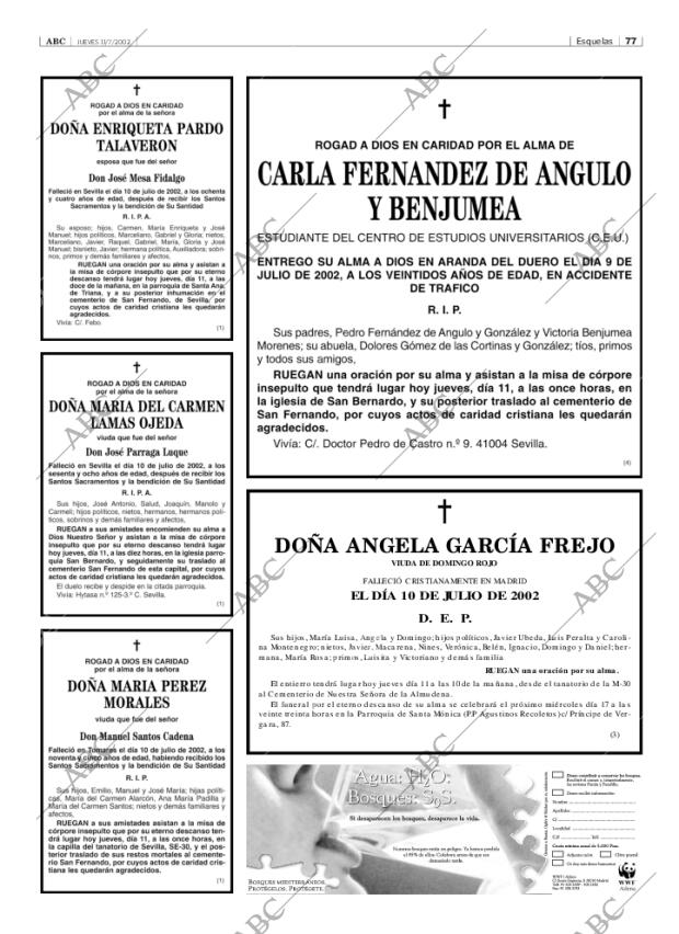 ABC SEVILLA 11-07-2002 página 77