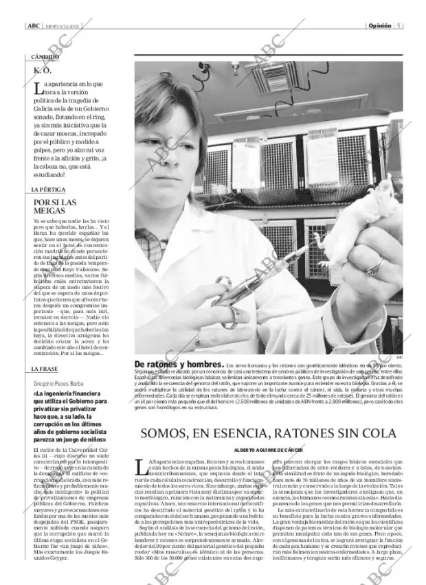 ABC MADRID 05-12-2002 página 5