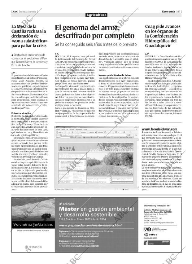 ABC SEVILLA 23-12-2002 página 87