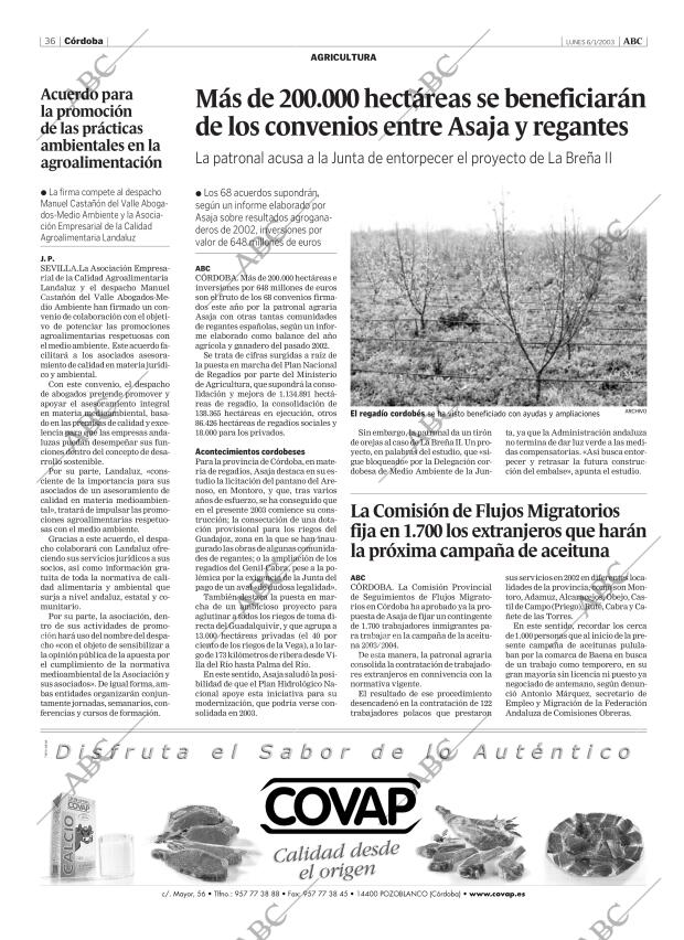 ABC CORDOBA 06-01-2003 página 36