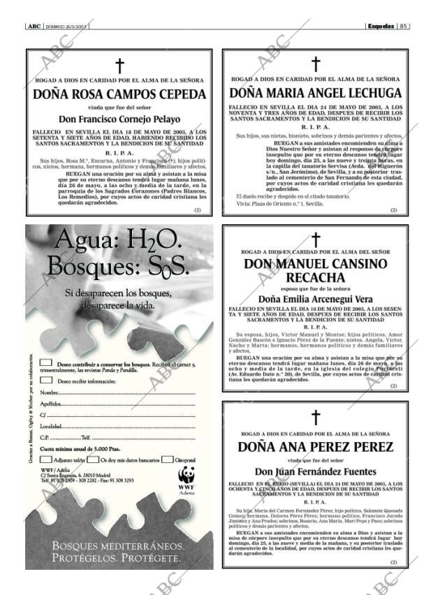 ABC SEVILLA 25-05-2003 página 85