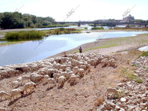 Toledo, 30-Junio-2003