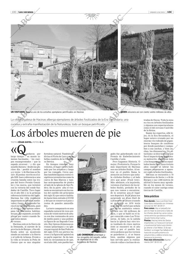 ABC MADRID 02-08-2003 página 100