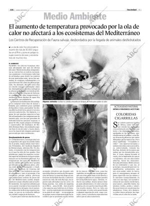 ABC CORDOBA 18-08-2003 página 41