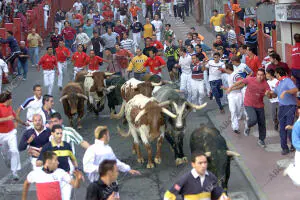 Primera jornada de los encierros de San Sebastián de los Reyes