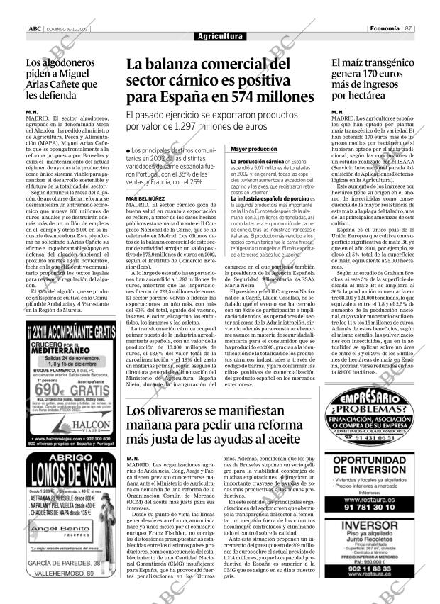 ABC MADRID 16-11-2003 página 87