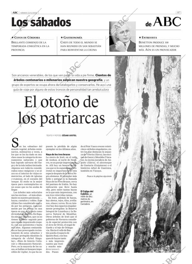 ABC CORDOBA 22-11-2003 página 87