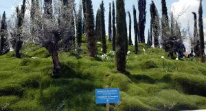 desmontaje del monte de los Ausentes en la glorieta de Carlos V.- Foto