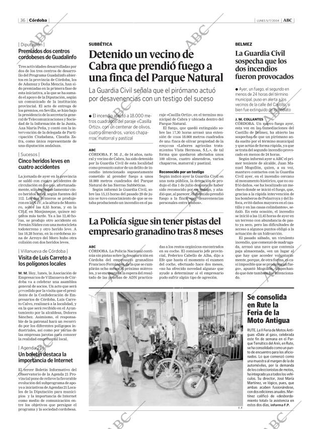 ABC CORDOBA 05-07-2004 página 36