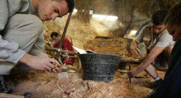 Excavadores buscando fósiles en la Sierra de Atapuerca