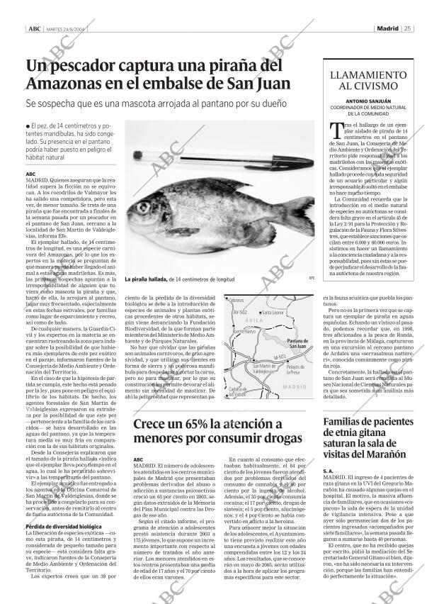 ABC MADRID 24-08-2004 página 25