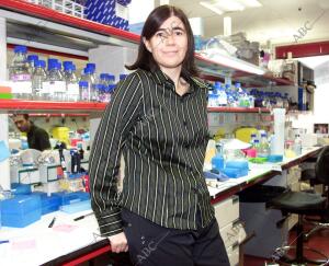 Entrevista a María Blasco, directora del programa de oncología molecular en el...