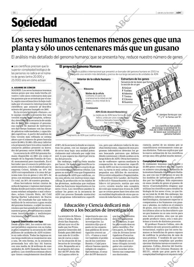 ABC SEVILLA 21-10-2004 página 56