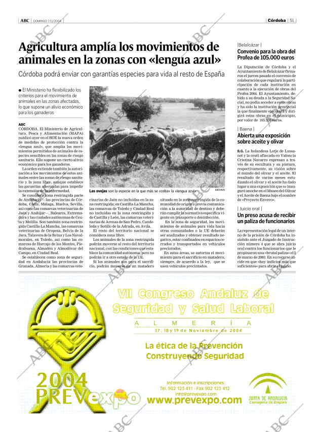 ABC CORDOBA 07-11-2004 página 51