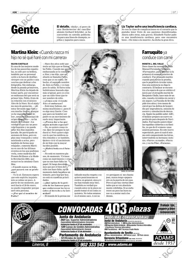 ABC SEVILLA 21-11-2004 página 117