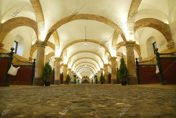 Reportaje X aniversario de la declaración de Córdoba como Patrimonio de la...
