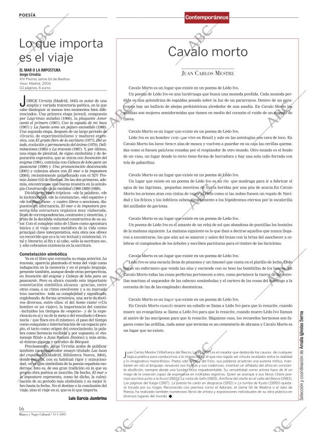 CULTURAL MADRID 15-01-2005 página 16