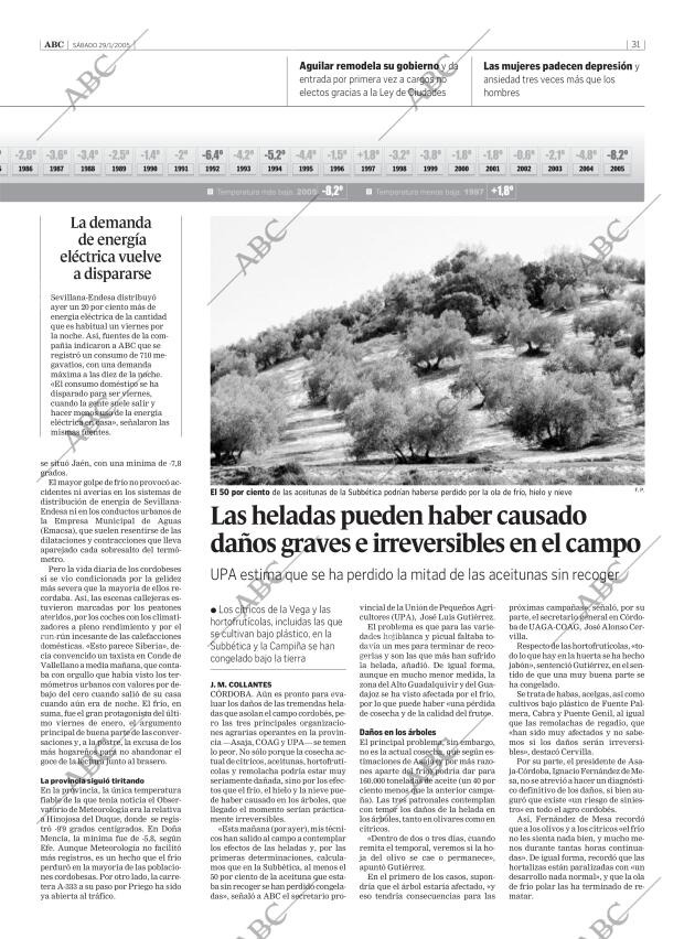 ABC CORDOBA 29-01-2005 página 31