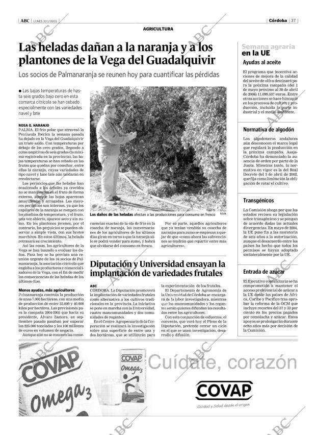 ABC CORDOBA 31-01-2005 página 37