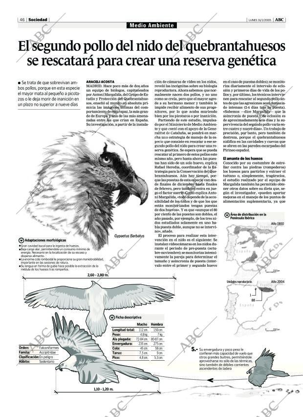 ABC CORDOBA 31-01-2005 página 46