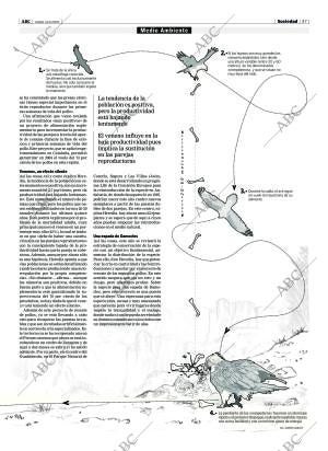 ABC CORDOBA 31-01-2005 página 47