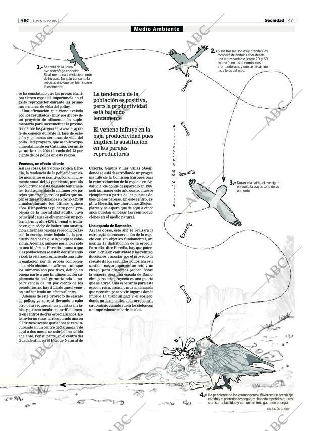 ABC CORDOBA 31-01-2005 página 47