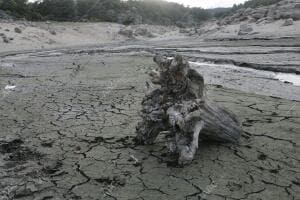 reportaje sobre la Sequia que Ufren los Pantanos de Madrid en la imagen el...