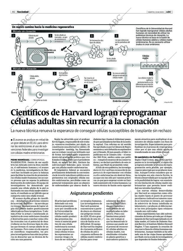 ABC SEVILLA 23-08-2005 página 46