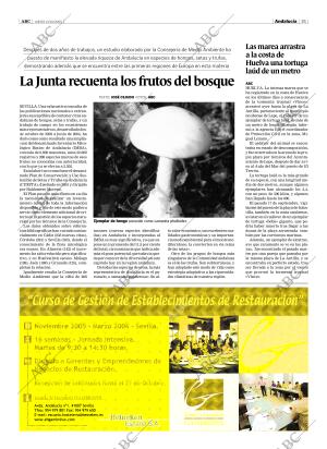 ABC SEVILLA 13-10-2005 página 35