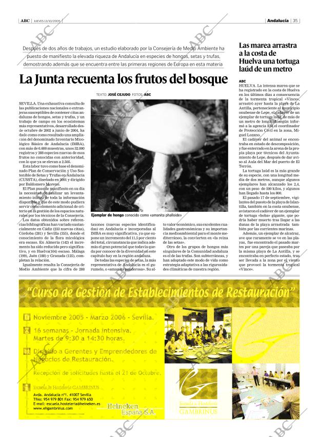 ABC SEVILLA 13-10-2005 página 35