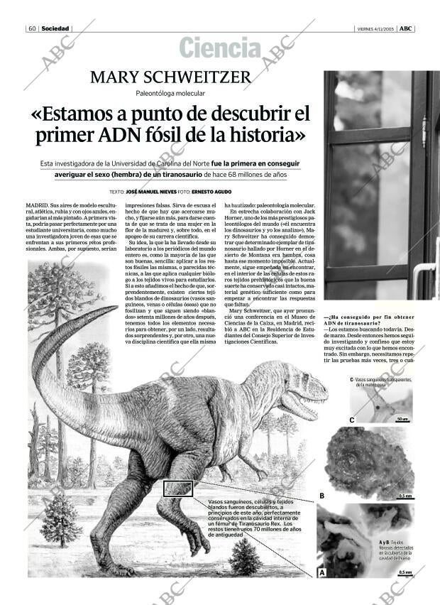 ABC CORDOBA 04-11-2005 página 60