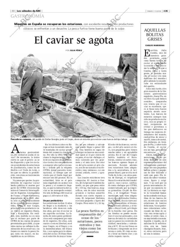 ABC MADRID 07-01-2006 página 88