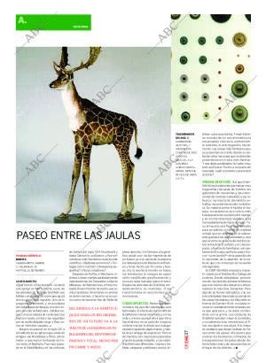 CULTURAL MADRID 18-02-2006 página 37