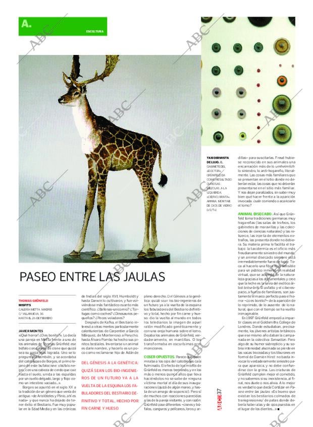 CULTURAL MADRID 18-02-2006 página 37