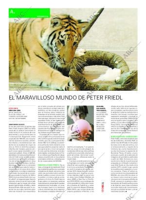 CULTURAL MADRID 01-07-2006 página 31