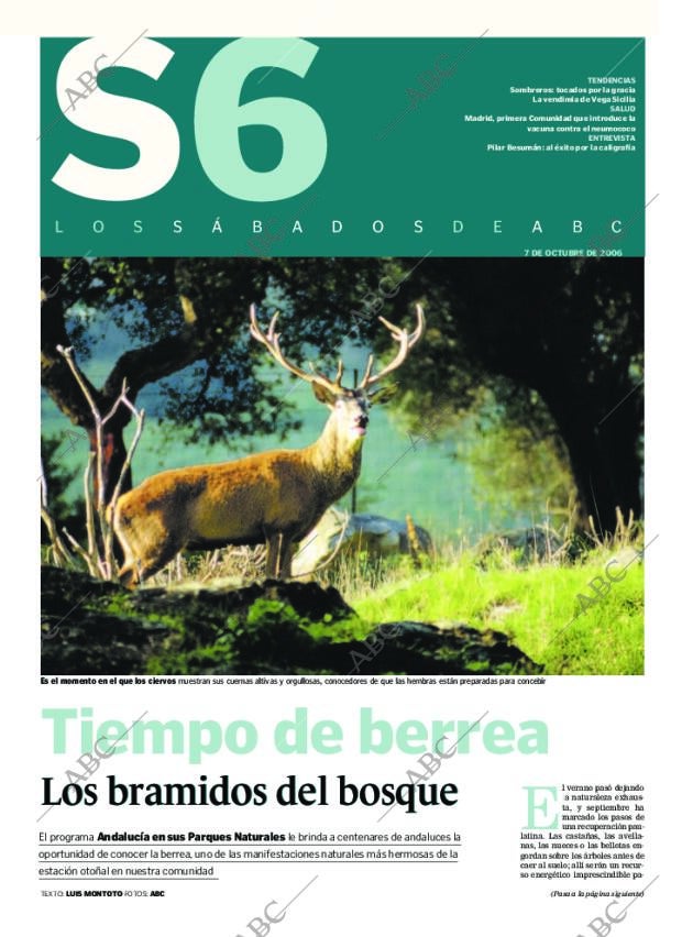 ABC SEVILLA 07-10-2006 página 53