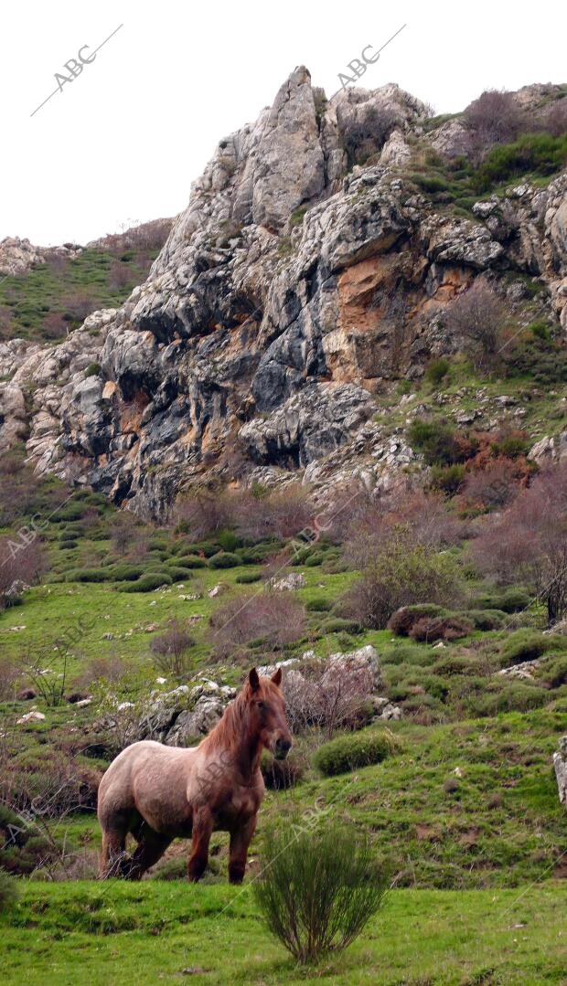 leon foto heras Picos de Europa (León) Ruta Collada de Lois, senderos