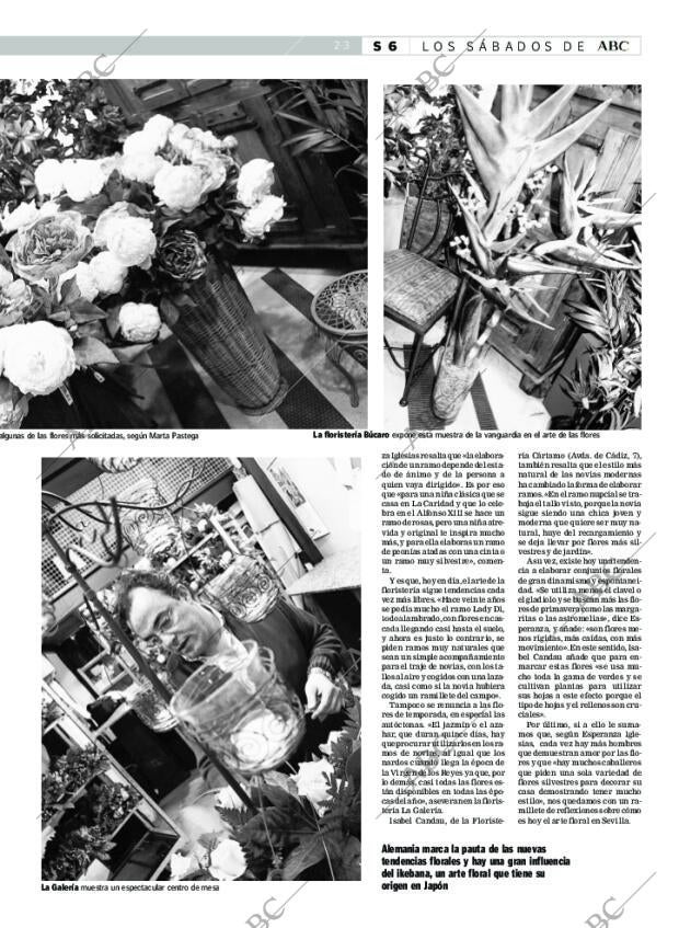 ABC SEVILLA 17-02-2007 página 55