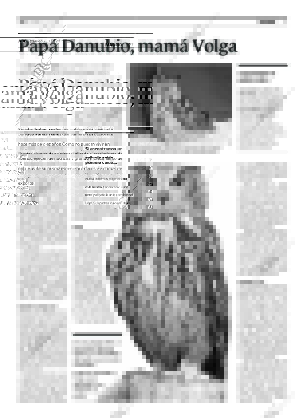 ABC MADRID 04-03-2007 página 77