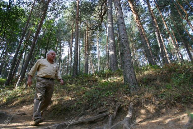 Entrevista con el escritor Javier Reverte en los bosques de pinos de Valsaín, en...