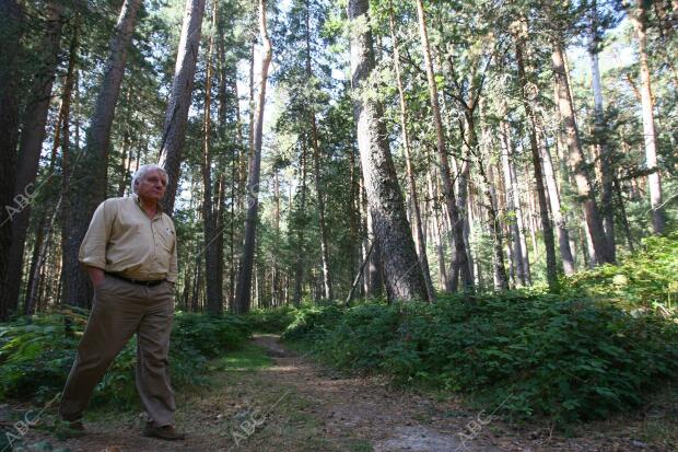 Entrevista con el escritor Javier Reverte en los bosques de pinos de Valsaín, en...