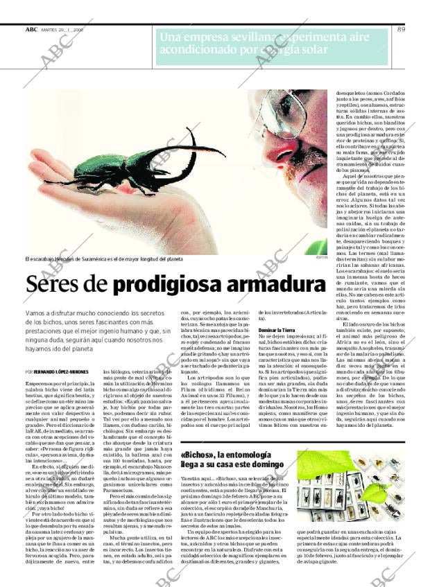 ABC SEVILLA 29-01-2008 página 89