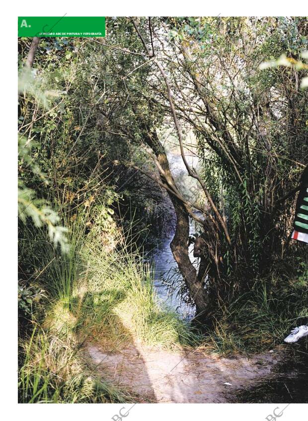 CULTURAL MADRID 09-02-2008 página 38