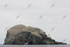 Esta isla cuena con una población de unas 100000 aves marinas conocidas como...