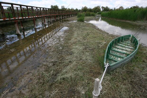 situación de Sequia en el parque nacional de las Tablas de Daimiel en la...