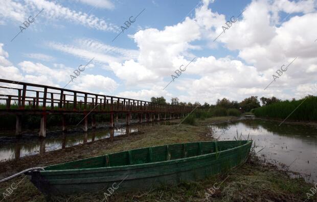 situación de Sequia en el parque nacional de las Tablas de Daimiel en la...