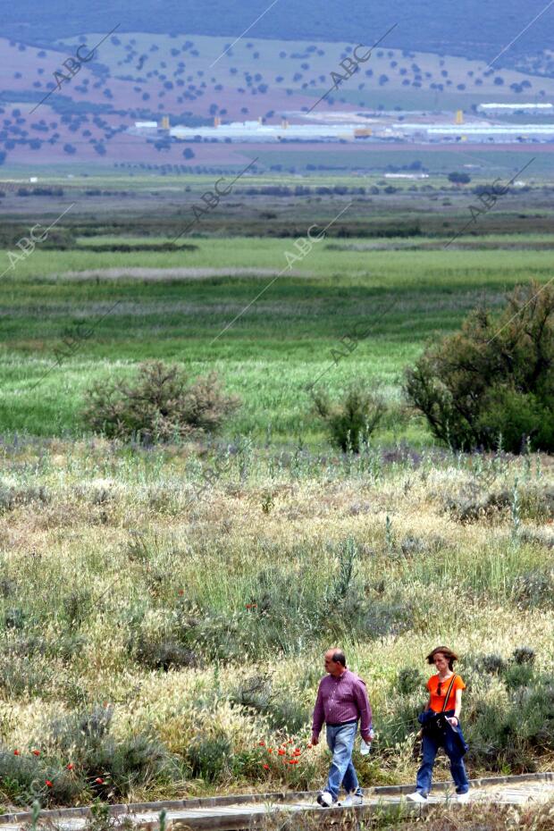 situación de Sequia en el parque nacional de las Tablas de Daimiel en la...