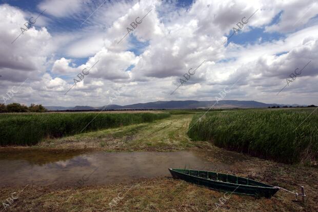 situación de Sequia en el parque nacional de las Tablas de Daimiel en la...